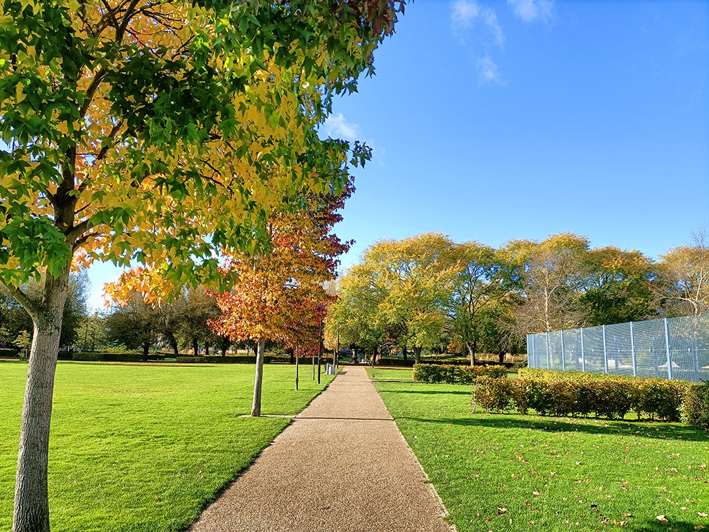 Autumn Colours in Vale Park