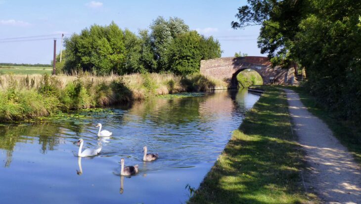 Aylesbury canal beside the Broughton Crossing lakes