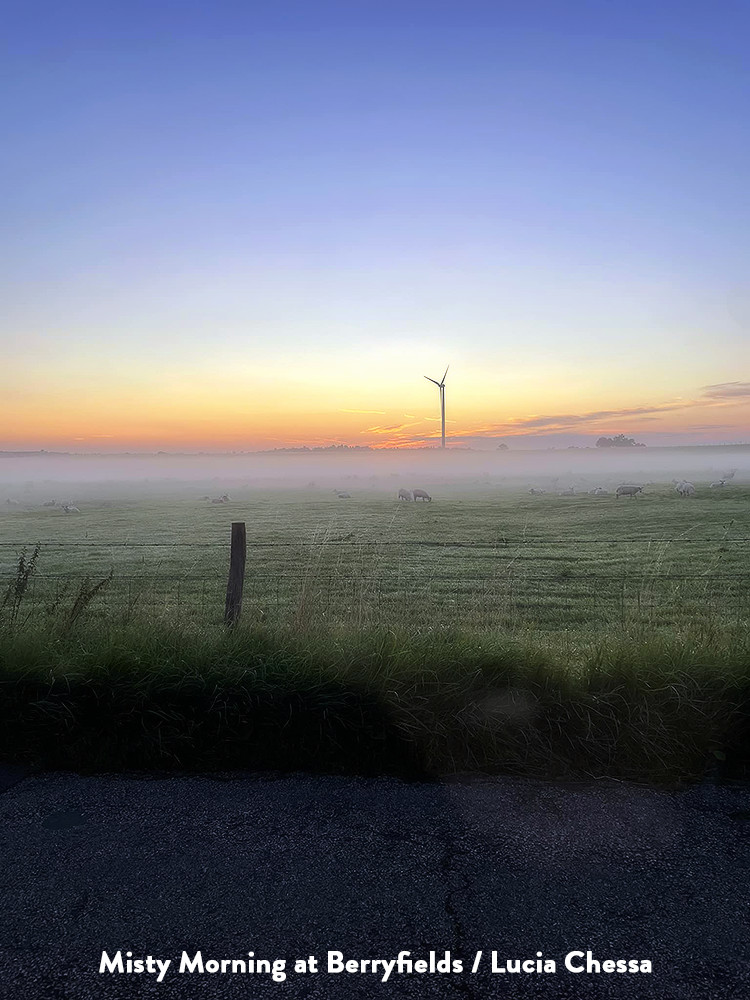 Morning Mist and Sunrise at Berryfields