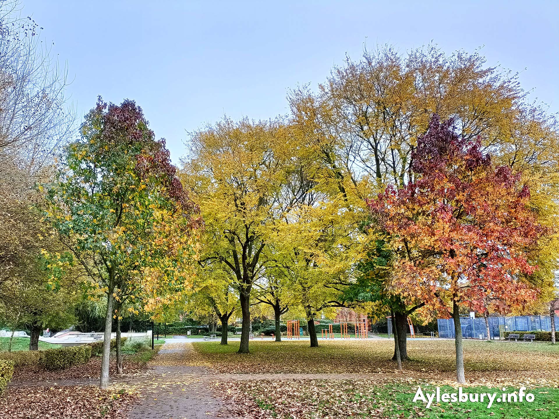 Autumn tree Colours