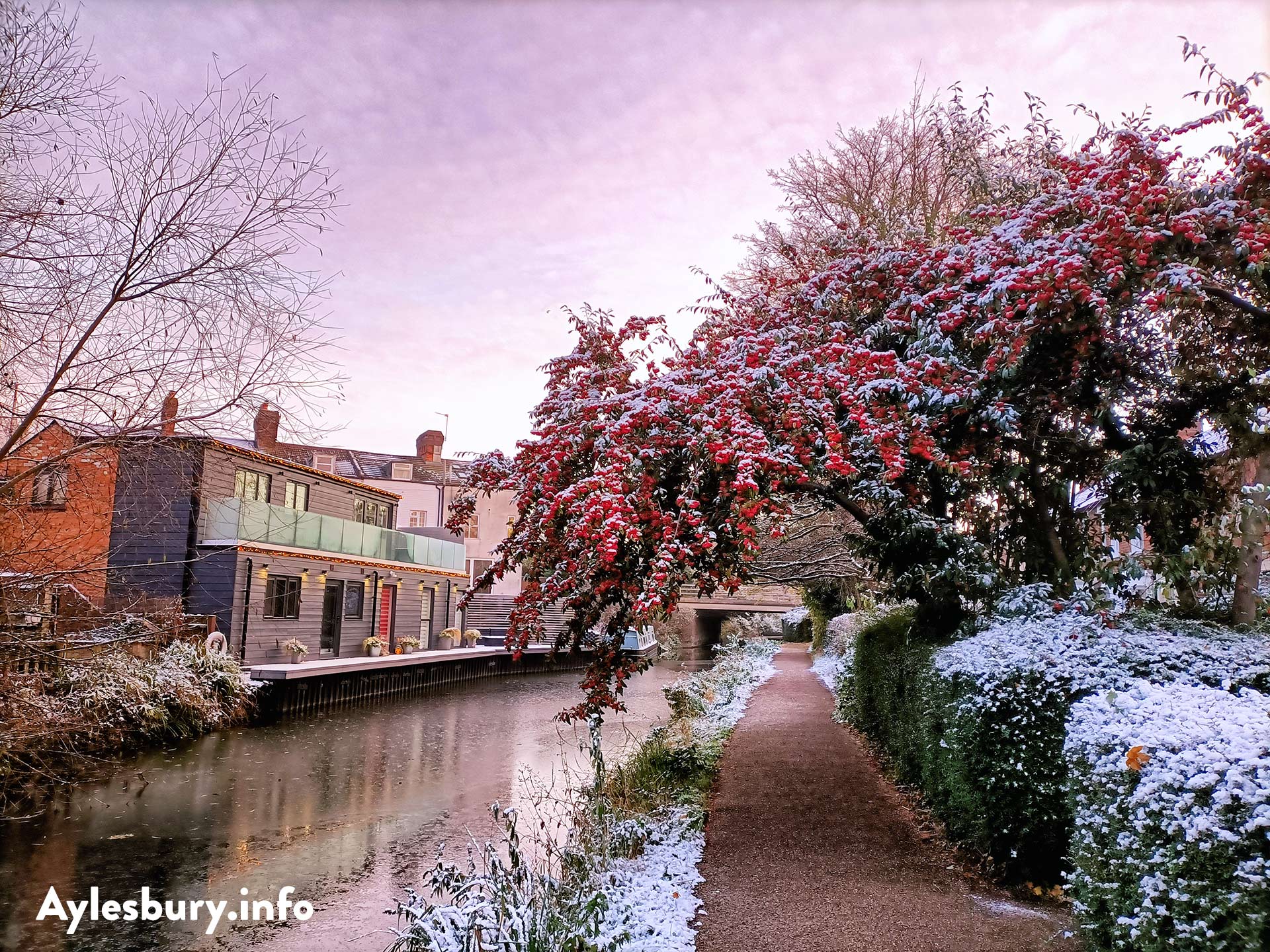 Winter Berries, Walton, Aylesbury Canal