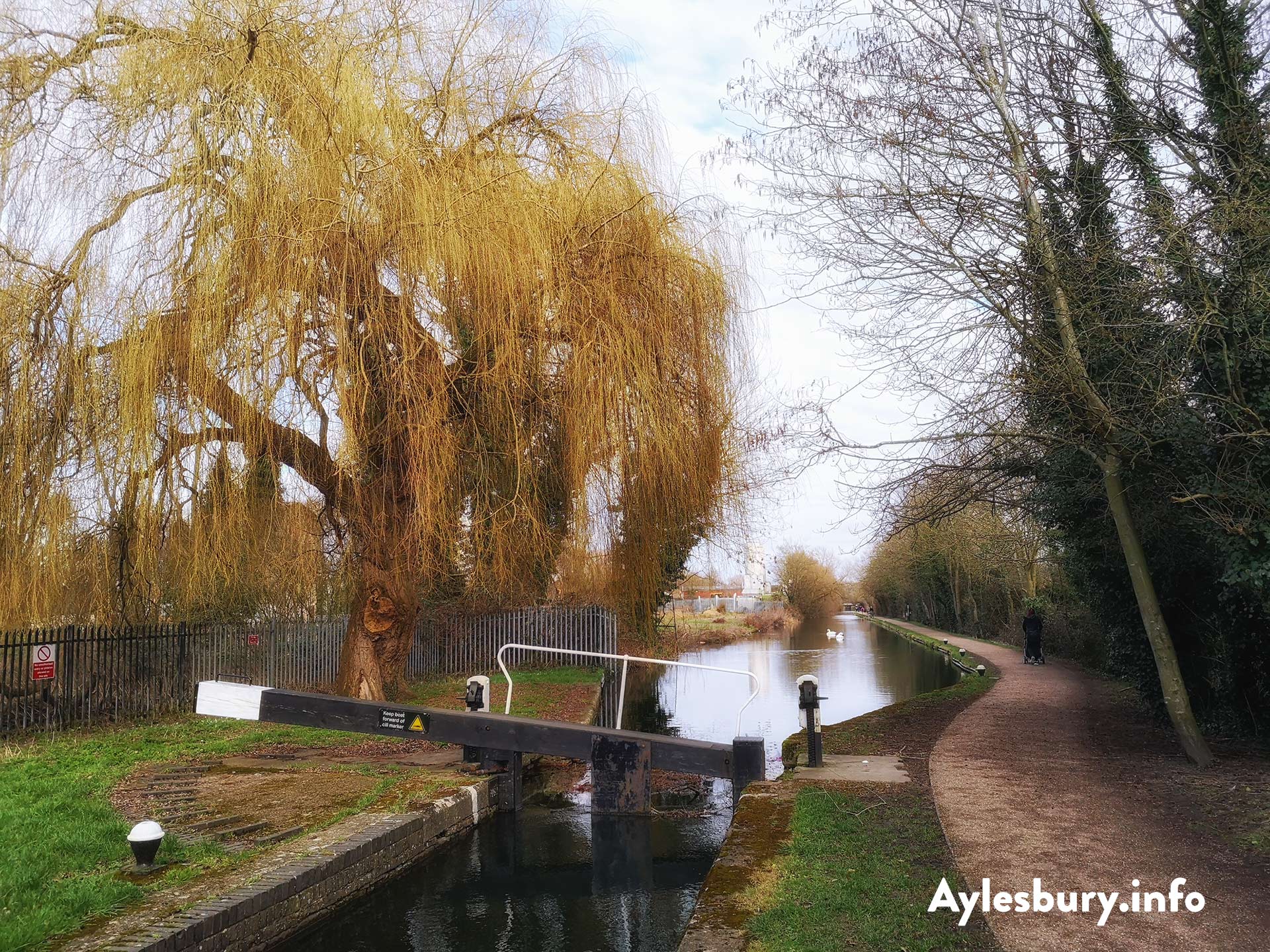 Aylesbury Arm Canal IV